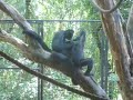 Zooparque
