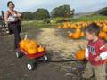 videos de Pull the wagon, Mo