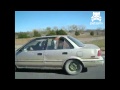 Tired horse hitches a ride in car