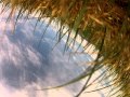 gopro freefall from 12500 without case View Video