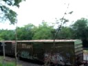 CSX 5271 Trash + Frieght Train