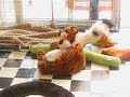 Puppen gevecht