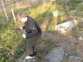 arboga / skog