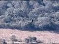 Tirolesa-na-Chapada-