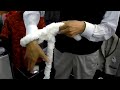 Click here to watch this video 【手芸】 大胆に編めるニット(内藤商事)