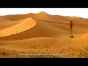 Mishary Rashid Alafasy- Sura Sedzda prijevod na bosanski