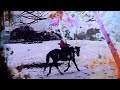 50 subs+