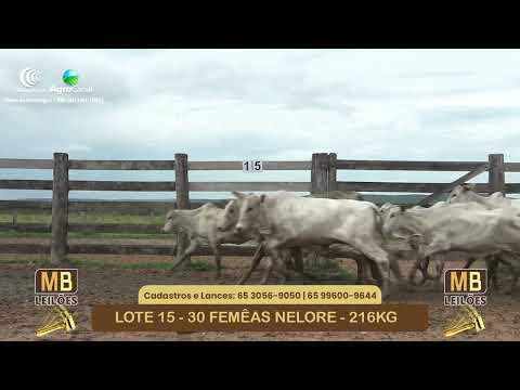 536� LEIL�O VIRTUAL MB LEIL�ES