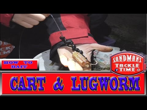 how to collect lugworm