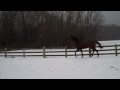 VID00061.mp4