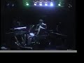 Dominique (Acoustic Version)