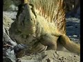 caminando entre monstruos: vida antes de los dinosaurios  8 