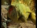caminando entre monstruos: vida antes de los dinosaurios  8 