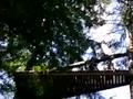 videos de Me and Taryn on the Screamer