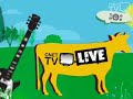 Lightspeed Champion - Live Session