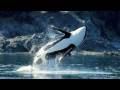 videos de Ralph Waldo Emerson: Natural Perfection