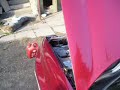 Impreza crazy woodpecker :D