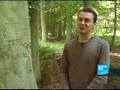 Les arbres normands s'en souviennent encore