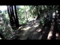 Soquel Demonstration Forest/ Braille Trail - 