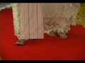 Myanmar Wedding of Burma Than Shwe's daughter - 10of24