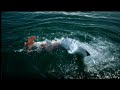 five idents shark
