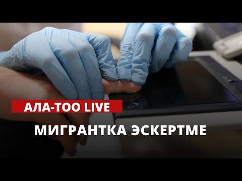 Мигрантка эскертме | 28.04.2023