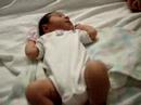1 day old Hannah
