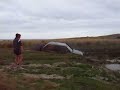 4WDING NZ.
