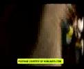 Hot Gal - Wayne Marshall PA ft President Sas (Stush)