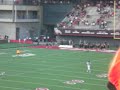 uc bearcat