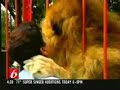 Lion hugging and kissing rescuer