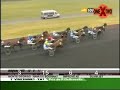 attele,trot,harness