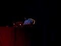 AOKI Takamasa