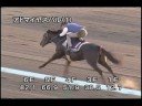 [調教] 080910 アドマイヤスバル 「エルムステークス」前追い切り