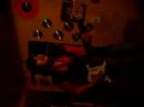 Ivinthe ShadowS!!  (live)  produccion Hattu :)