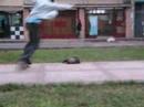 skate las flores skate las flores