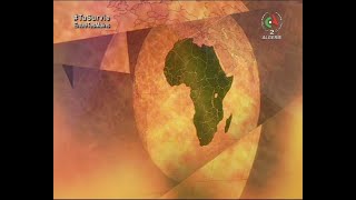 Transition énergétique : L'Afrique à la croisée des chemins | Échos d'Afrique