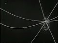 Spyders Web Opening Titles   1972