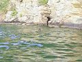 3 Back Flips from 50ft on Smith Mountain Lake...gone bad 3 Back Flips from 50ft on Smith Mountain Lake...gone bad