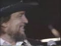 Waylon Jennings - Rose Of Paradise