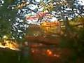 videos de cardeal gaucho assoviando!
