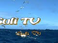 Suli TV 2006.10.03-i adás