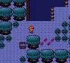 Episode 31(E): The Mystic Forest