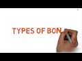 one fun fact about the skeletal system one fun fact about the skeletal system