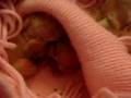 Crystal the Angora give birth bunnies Day 2