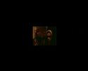 intouchable clik en �xtrait sur le dvd 