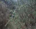 Test Games at Gorse Hill Airsoft, Dublin. This site is, for the forseable future, not opening.