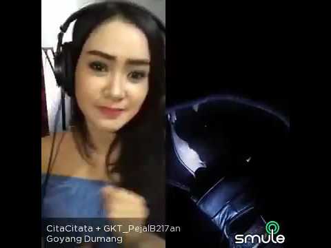 Download Video Clip Goyang Dumang Mp4 Download suara cucak jenggot nembak kasar gacor isian besetan dalam durasi panjang yang dilengkapi dengan simulasi lomba dengan beberapa.masteran burung menggunakan media mp3 yang di perdengarkan pada burung peliharaan menjadi salah satu cara yang cukup banyak di gemari. download video clip goyang dumang mp4