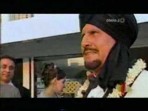 tiger 5