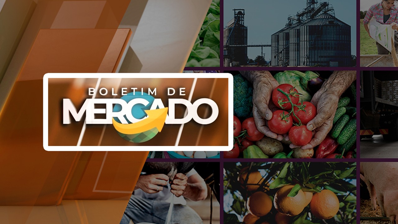 FECHAMENTO DE MERCADO DA SOJA - EDIÇÃO 08/05/2026